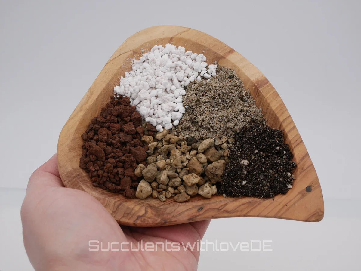 Die perfekte Erde für Ihre Sukkulenten - succulentswithlove