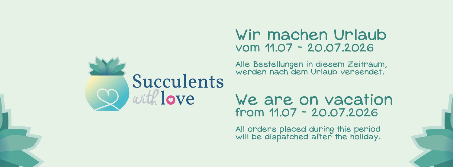 succulentswithlove