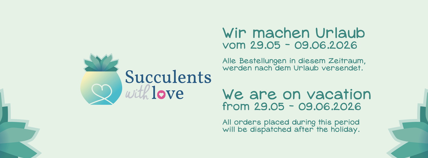 succulentswithlove