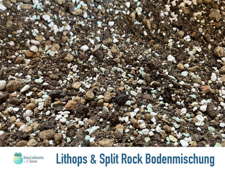 Lithops- und Split Rock-Bodenmischung | handgemischt | 1, 3 oder 6 Liter