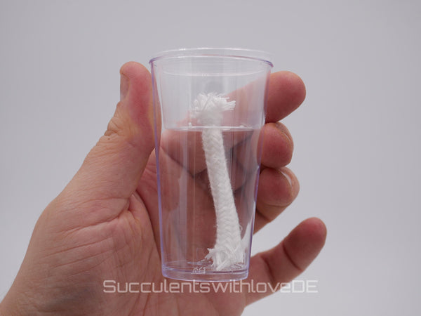 Selbstbewässerungstopf für Jungpflanzen und Rhizome | Transparente Becher | Selbstbewässerungssystem | Stecklingsstation