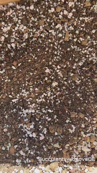 Lithops Erde & Split Rock Substrat - mineralische Sukkulentenerde handgemischt - lebende Steine, 1, 3 oder 6 Liter